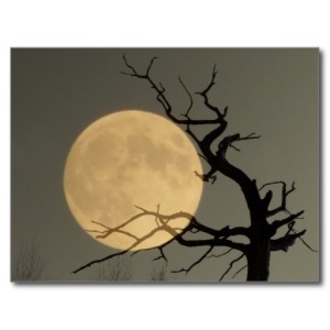 behind_full_moon_behind_bare_tree_collage_postcard-r01fcc89109e648778213ff70146f82e0_vgbaq_8byvr_512